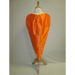 COSTUME DE CAROTTE