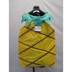 COSTUME ANANAS