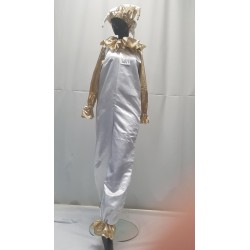 CLOWN BLANC DORE + ACCESSOIRES