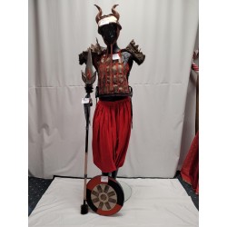 ARMURE DRUIDE ADULTE