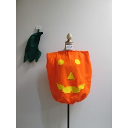 COSTUME CITROUILLE ENFANT